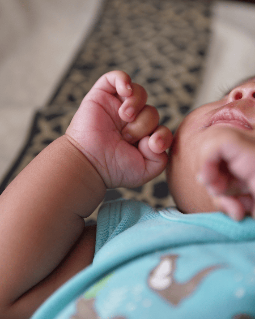 What We Need: Mattresses for our Baby House 2 1