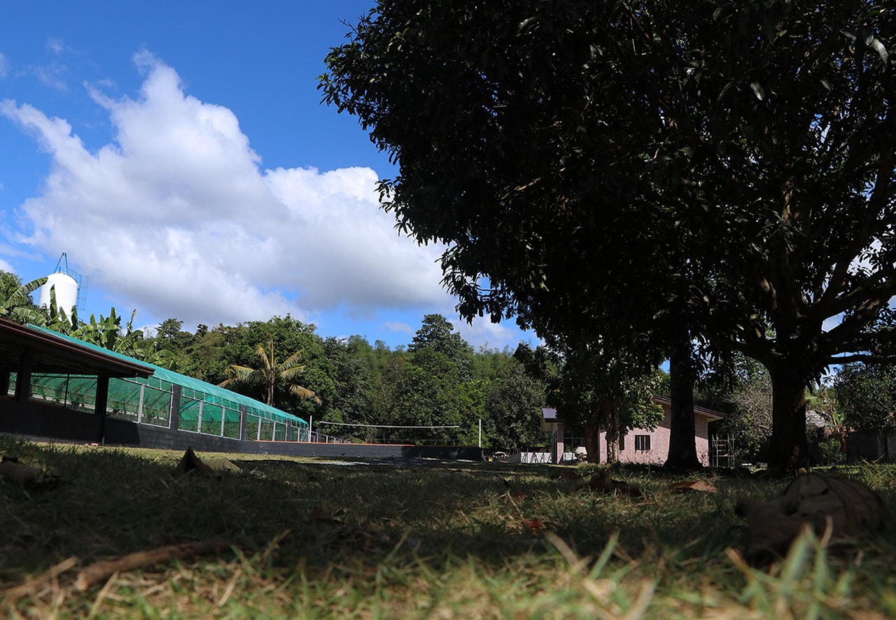Houses and Activity Facilities